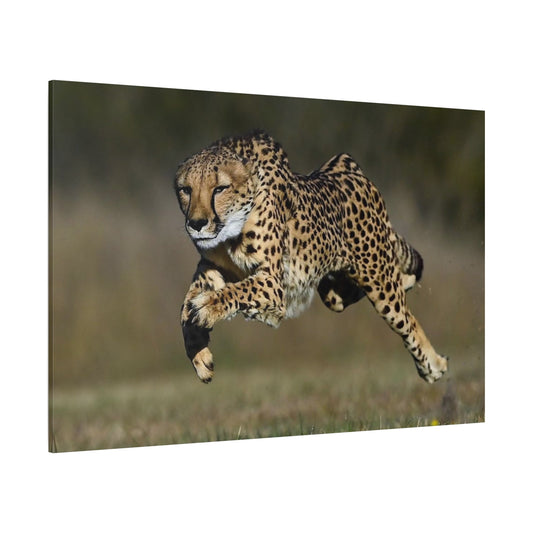 Dynamic Cheetah Chase Canvas Wall Art - Wildlife in Action - ART OF ROYALS