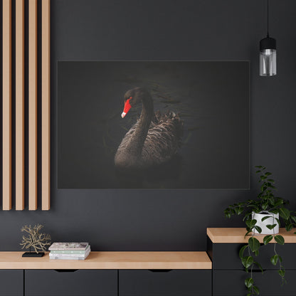 Elegant Black Swan Canvas Wall Art – Grace and Sophistication - ART OF ROYALS