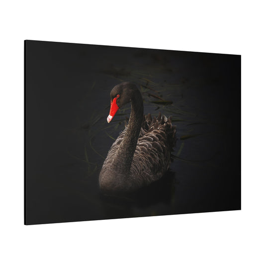 Elegant Black Swan Canvas Wall Art – Grace and Sophistication - ART OF ROYALS