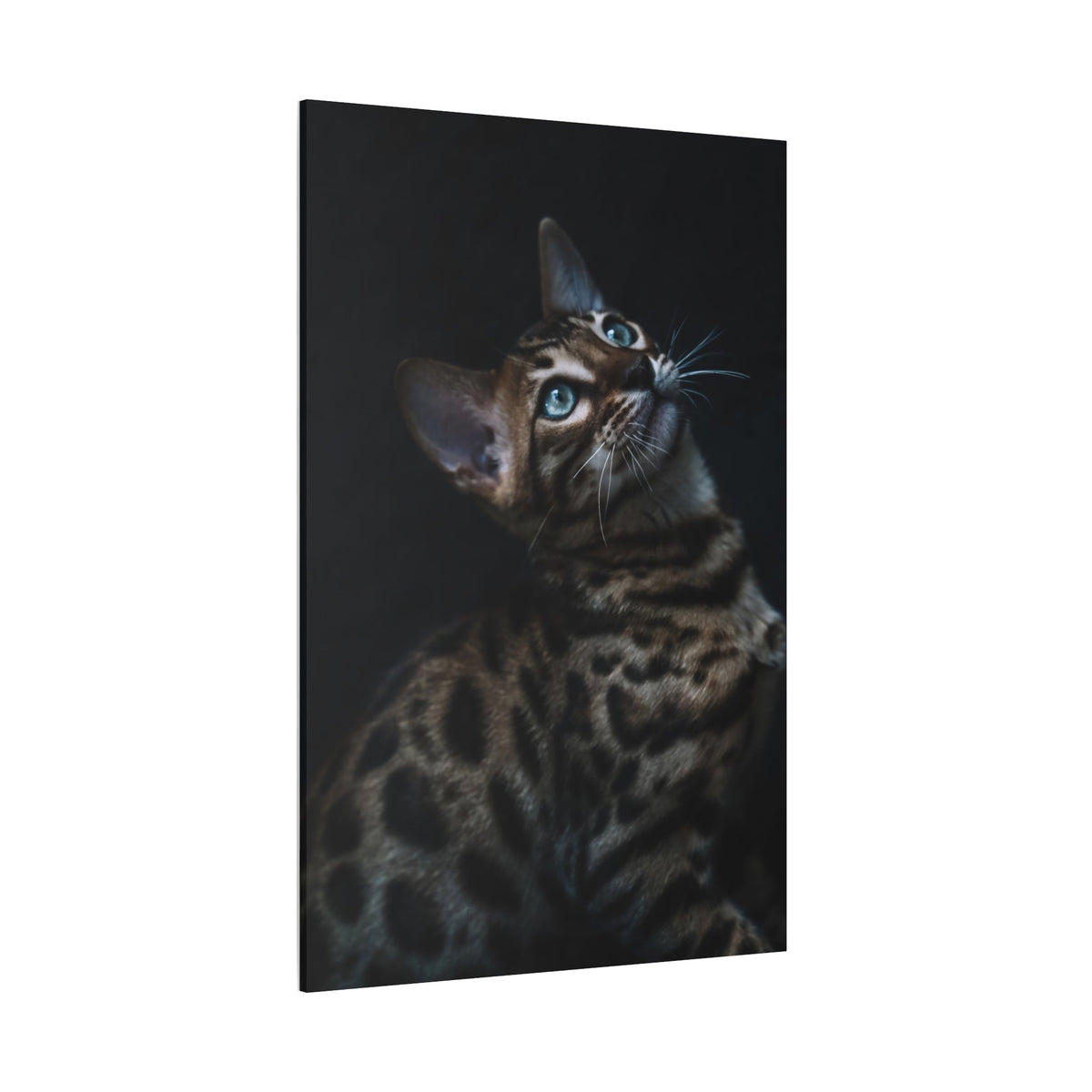 Elegant Cat Canvas Wall Art – A Must-Have for Feline Admirers - ART OF ROYALS