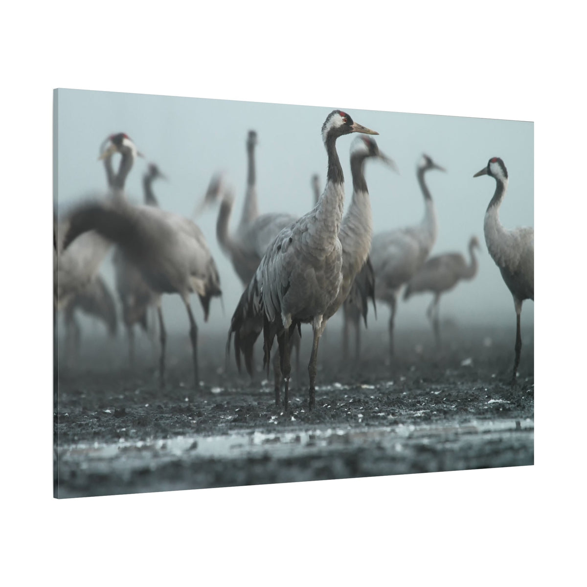 Elegant Crane Canvas Wall Art - ART OF ROYALS