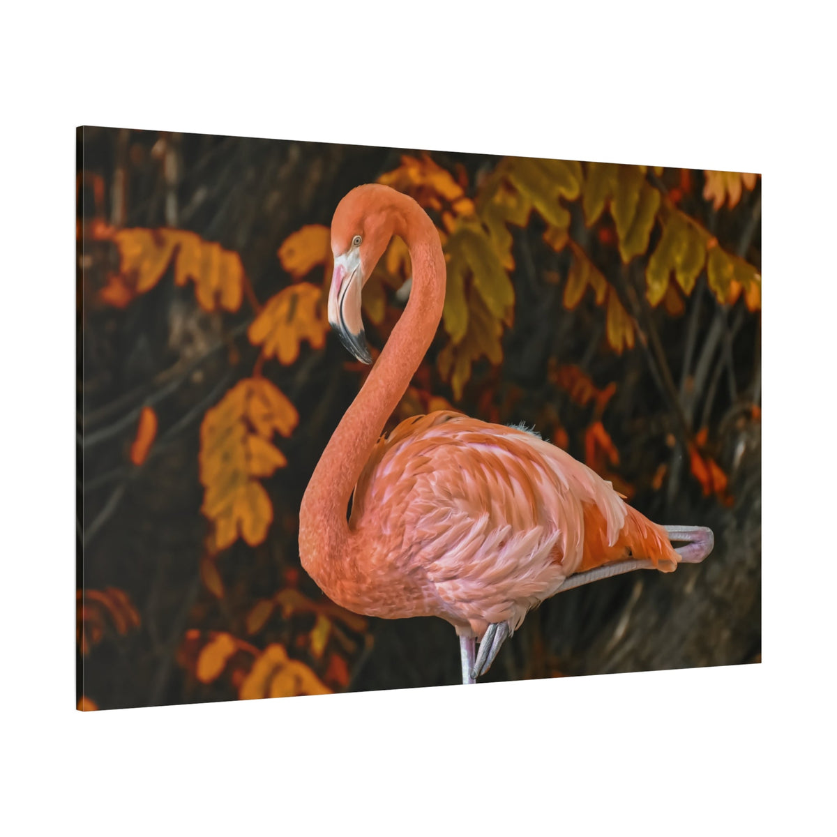 Elegant Flamingo Canvas Wall Art – Pink Bird Wildlife Decor for Modern Spaces - ART OF ROYALS