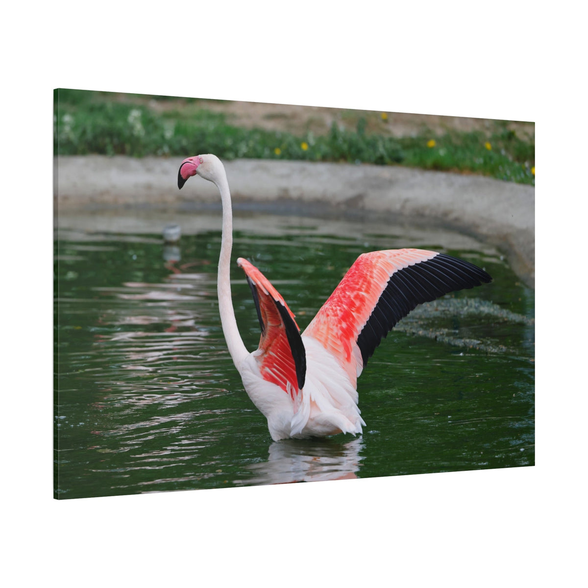 Elegant Flamingo Canvas Wall Art – Tropical Grace and Beauty - ART OF ROYALS