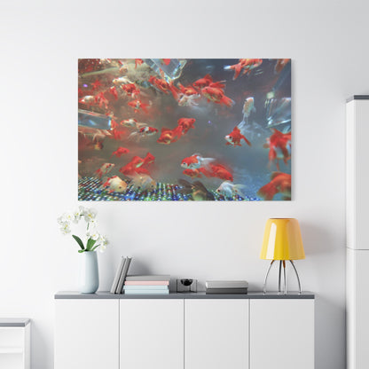 Elegant Marble Fish in Aquarium - Stunning Underwater Photography - ART OF ROYALS