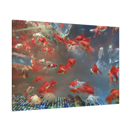 Elegant Marble Fish in Aquarium - Stunning Underwater Photography - ART OF ROYALS