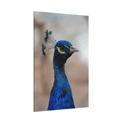 Elegant Peacock Canvas Wall Art – Vibrant Feather Detail for Luxurious Décor - ART OF ROYALS