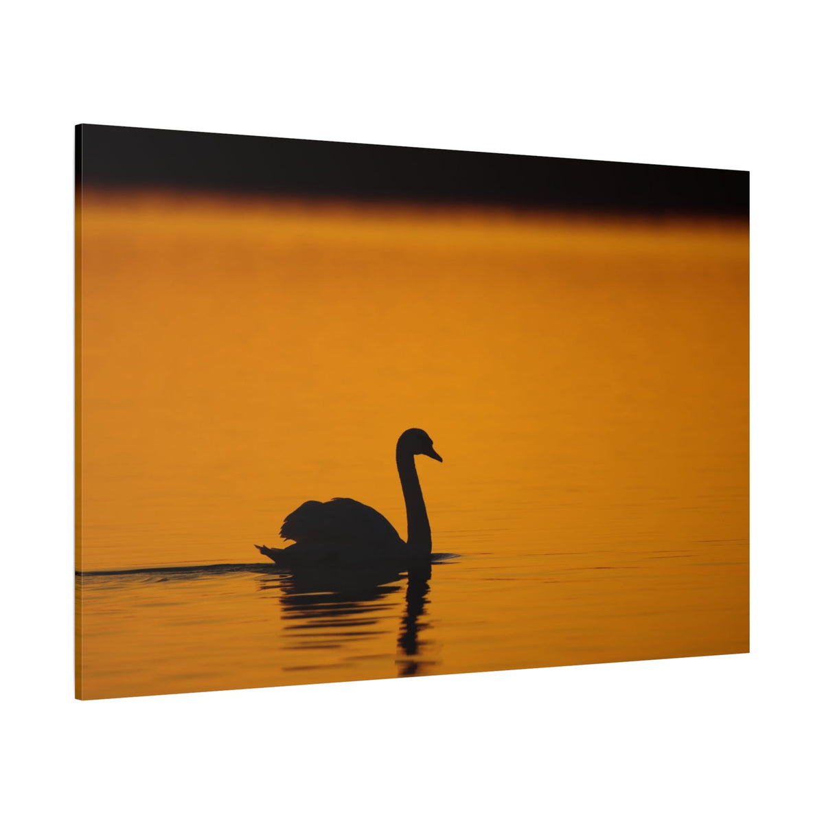 Elegant Swan Sunset Canvas Wall Art – Luxury Lake Wildlife Canvas Print - ART OF ROYALS