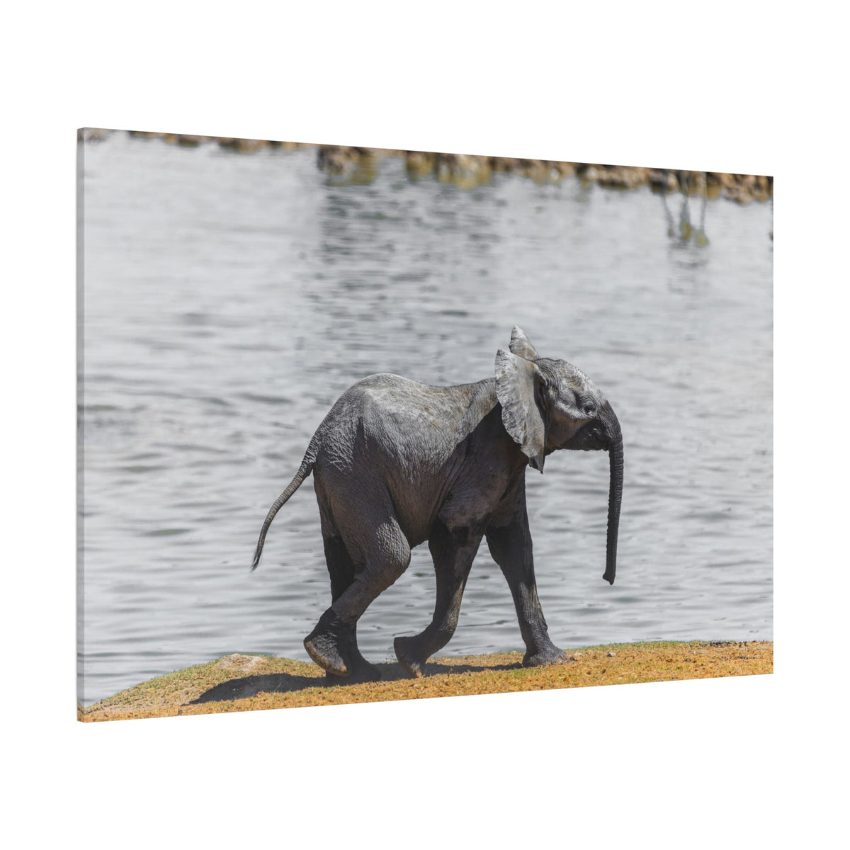 Elephant Family Canvas Wall Art – Tender Moments in the Wild - ART OF ROYALS