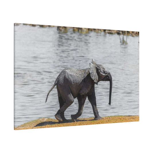 Elephant Family Canvas Wall Art – Tender Moments in the Wild - ART OF ROYALS
