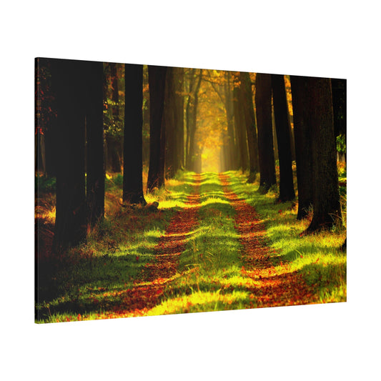 Enchanted Forest Path – A Journey Through Nature - ART OF ROYALS