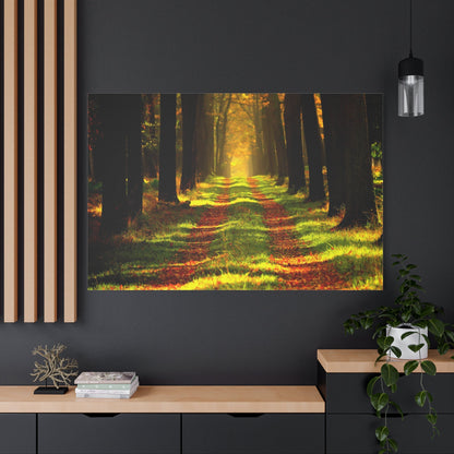 Enchanted Forest Path – A Journey Through Nature - ART OF ROYALS