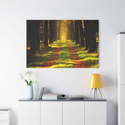 Enchanted Forest Path – A Journey Through Nature - ART OF ROYALS