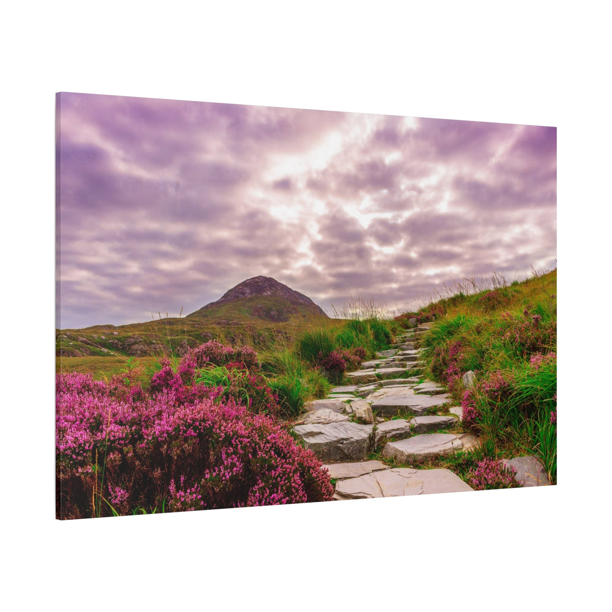 Enchanting Irish Highlands – A Scenic Natural Retreat - ART OF ROYALS