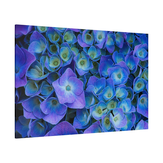 Enchanting Purple Hydrangeas – Nature’s Elegance - ART OF ROYALS