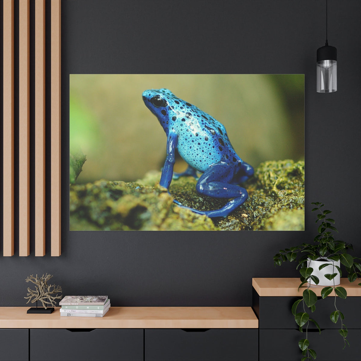 Fascinating Frog Close-Up – Nature’s Tiny Marvel - ART OF ROYALS