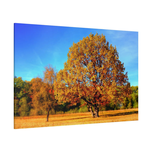 Golden Autumn Splendor – A Park in Fall’s Embrace - ART OF ROYALS