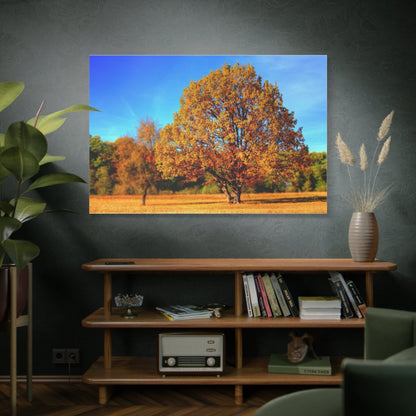 Golden Autumn Splendor – A Park in Fall’s Embrace - ART OF ROYALS