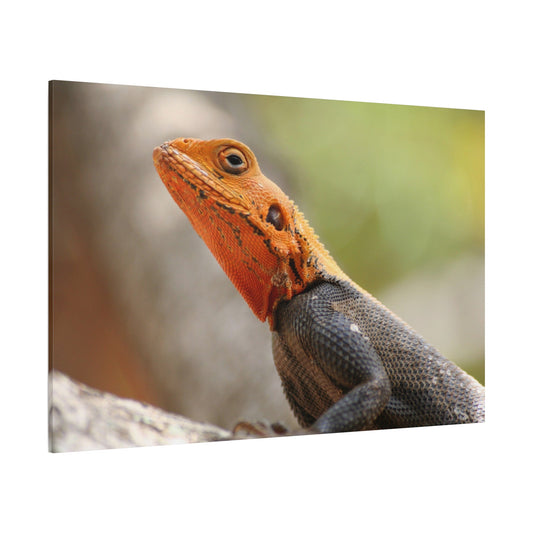Golden-Hued Lizard Canvas Wall Art – Exotic Wildlife Print for Nature-Inspired Home Decor - ART OF ROYALS