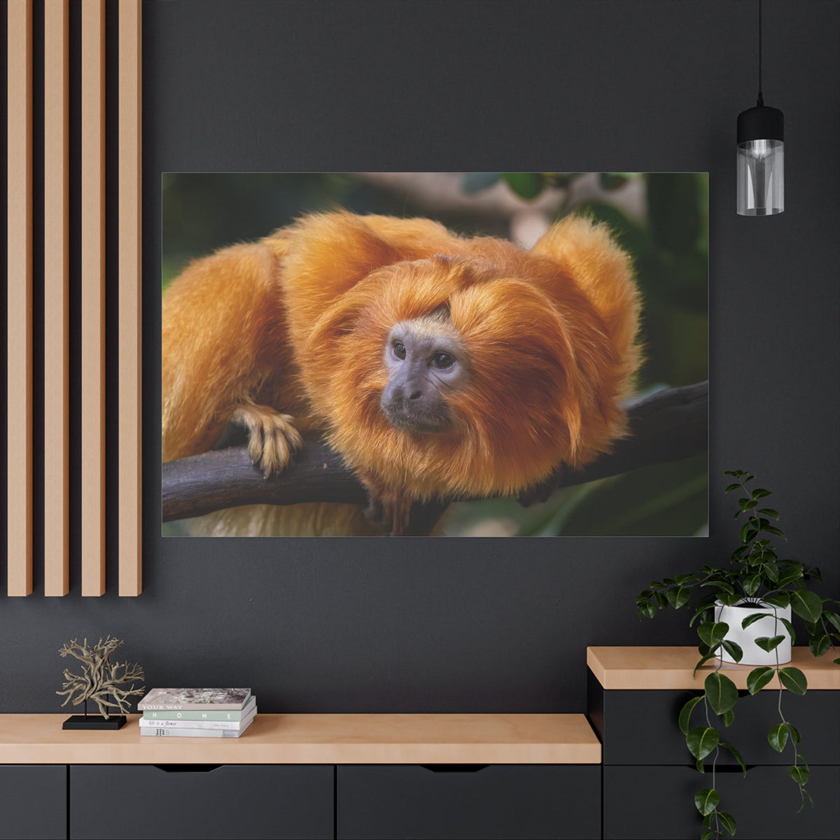 Golden Lion Tamarin Canvas Wall Art – Exotic Wildlife Elegance - ART OF ROYALS