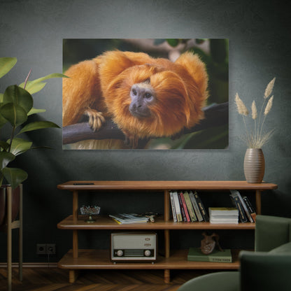 Golden Lion Tamarin Canvas Wall Art – Exotic Wildlife Elegance - ART OF ROYALS