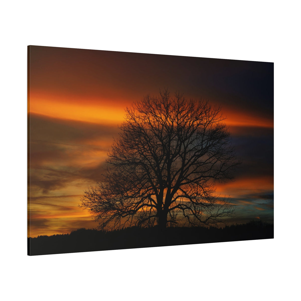 Golden Serenity – Majestic Tree at Sunset - ART OF ROYALS