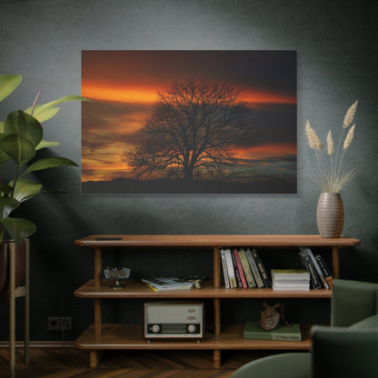 Golden Serenity – Majestic Tree at Sunset - ART OF ROYALS
