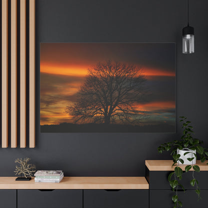 Golden Serenity – Majestic Tree at Sunset - ART OF ROYALS