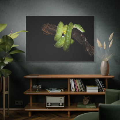 Golden Serpent Canvas Wall Art – Luxury Exotic Snake Wildlife Canvas Print for Bold Nature-Inspired Decor - ART OF ROYALS