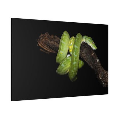 Golden Serpent Canvas Wall Art – Luxury Exotic Snake Wildlife Canvas Print for Bold Nature-Inspired Decor - ART OF ROYALS