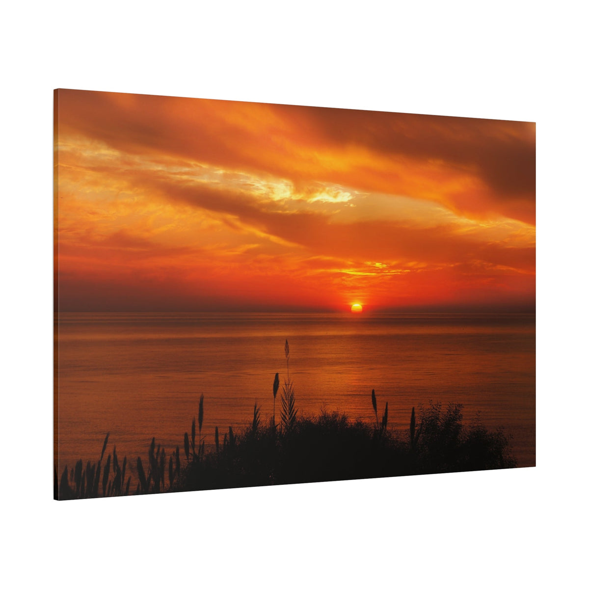 Golden Sunset Over Serene Grasses - ART OF ROYALS