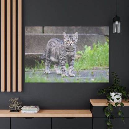 Graceful Cat Canvas Wall Art – Elegant Feline Portrait - ART OF ROYALS