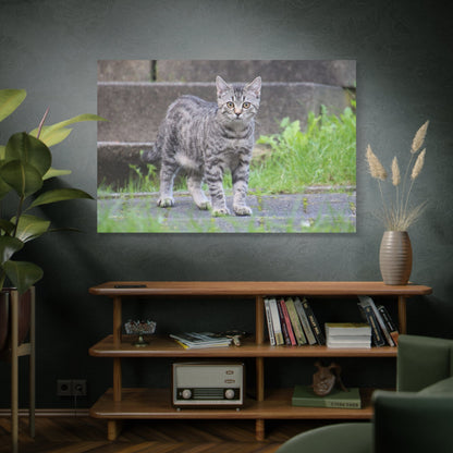 Graceful Cat Canvas Wall Art – Elegant Feline Portrait - ART OF ROYALS