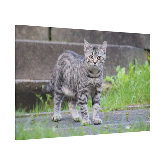 Graceful Cat Canvas Wall Art – Elegant Feline Portrait - ART OF ROYALS