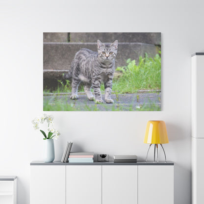 Graceful Cat Canvas Wall Art – Elegant Feline Portrait - ART OF ROYALS