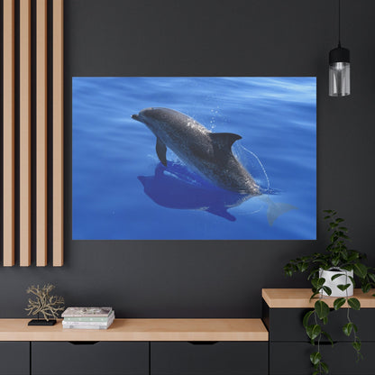 Graceful Dolphin Glide – Ocean’s Free Spirit - ART OF ROYALS
