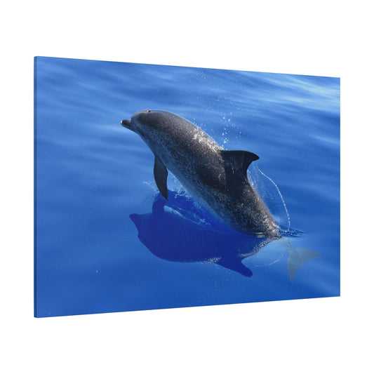 Graceful Dolphin Glide – Ocean’s Free Spirit - ART OF ROYALS