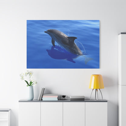 Graceful Dolphin Glide – Ocean’s Free Spirit - ART OF ROYALS