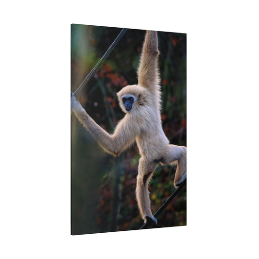 Graceful Gibbon – A Captivating Portrait of Nature’s Agile Acrobat - ART OF ROYALS