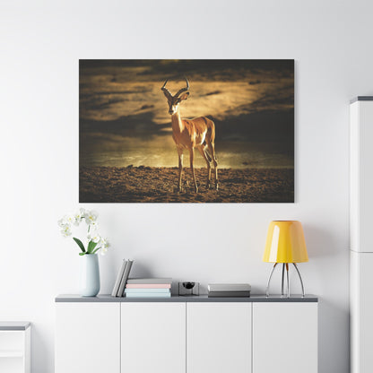 Graceful Impala Canvas Wall Art – Serenity in the Wild - ART OF ROYALS