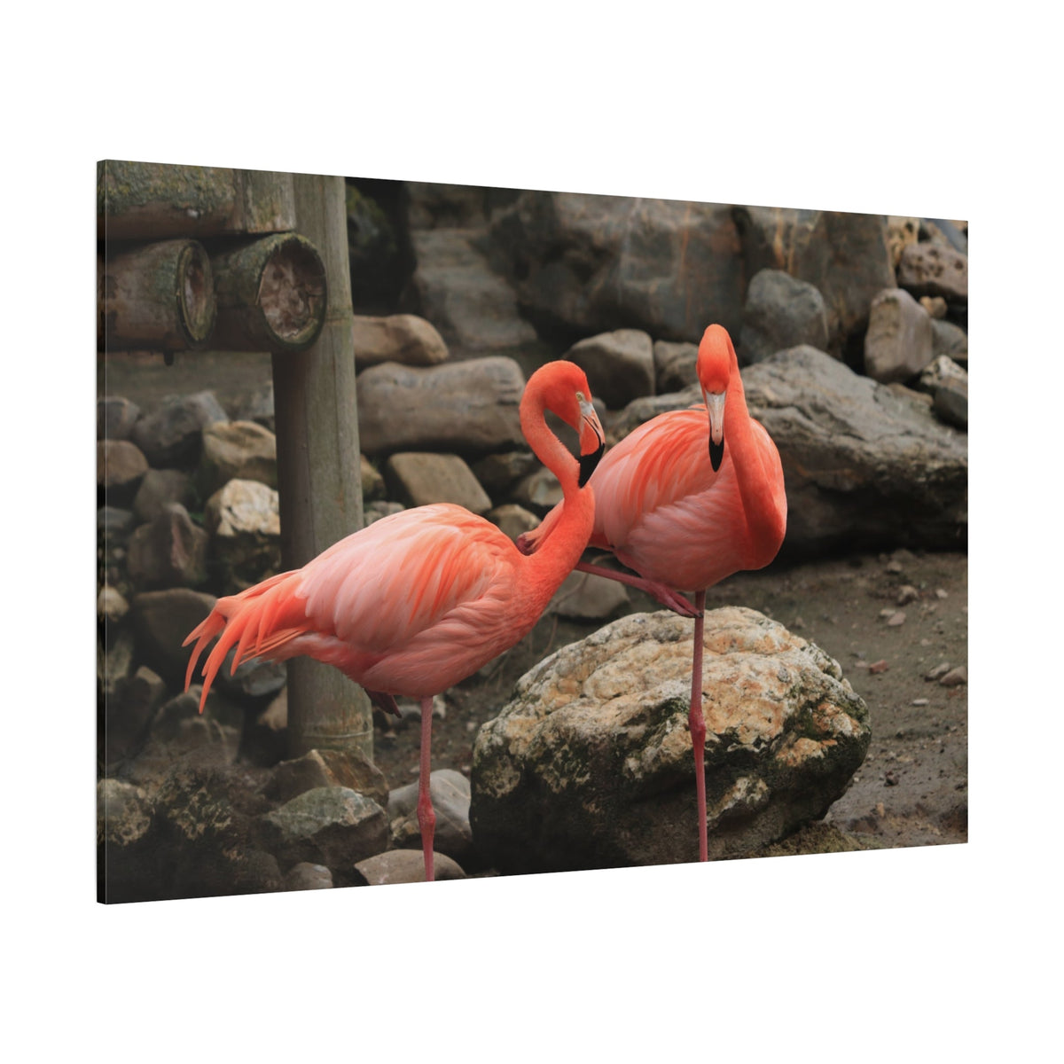 Graceful Pink Flamingo Canvas Wall Art – Tropical Elegance - ART OF ROYALS