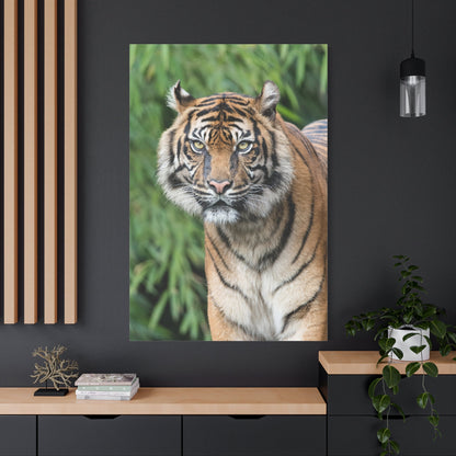 Graceful Predator Canvas Wall Art – The Tiger’s Gaze - ART OF ROYALS