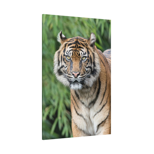 Graceful Predator Canvas Wall Art – The Tiger’s Gaze - ART OF ROYALS