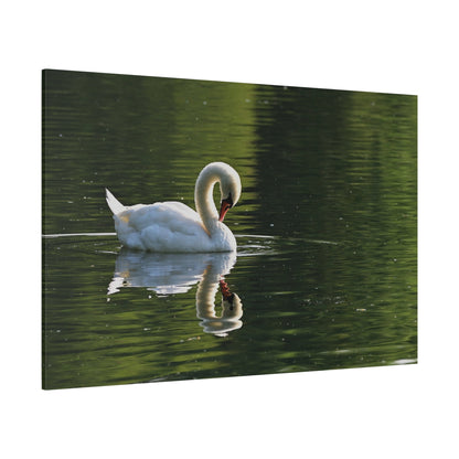 Graceful Swan Reflection Canvas Wall Art – Tranquil Elegance - ART OF ROYALS