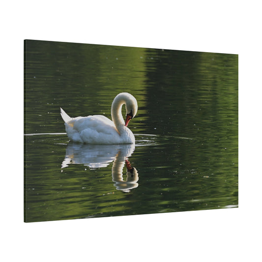 Graceful Swan Reflection Canvas Wall Art – Tranquil Elegance - ART OF ROYALS