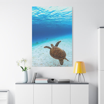 Green Sea Turtle – Graceful Ocean Explorer Canvas Wall Art - ART OF ROYALS