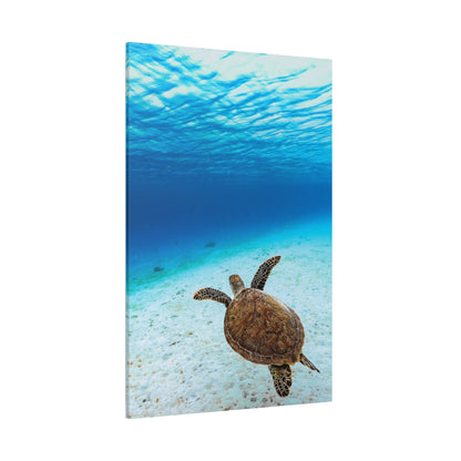 Green Sea Turtle – Graceful Ocean Explorer Canvas Wall Art - ART OF ROYALS