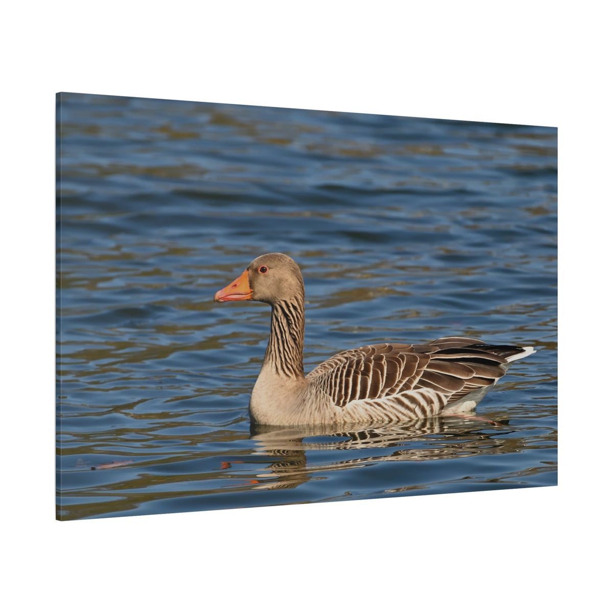 Greylag Goose Canvas Wall Art – Majestic Bird in Nature - ART OF ROYALS