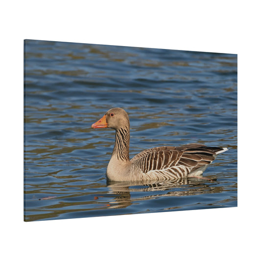Greylag Goose Canvas Wall Art – Majestic Bird in Nature - ART OF ROYALS