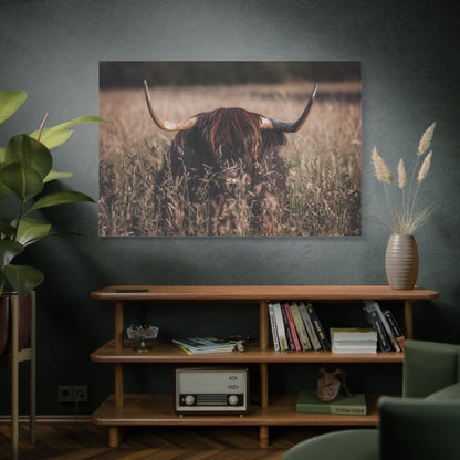Highland Cow in Meadow – Rustic Nature Photography Print - ART OF ROYALS