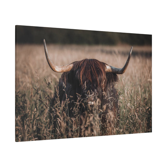 Highland Cow in Meadow – Rustic Nature Photography Print - ART OF ROYALS